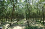 Fascinating Vietnam, Cambodia & The Mekong River with Luang Prabang